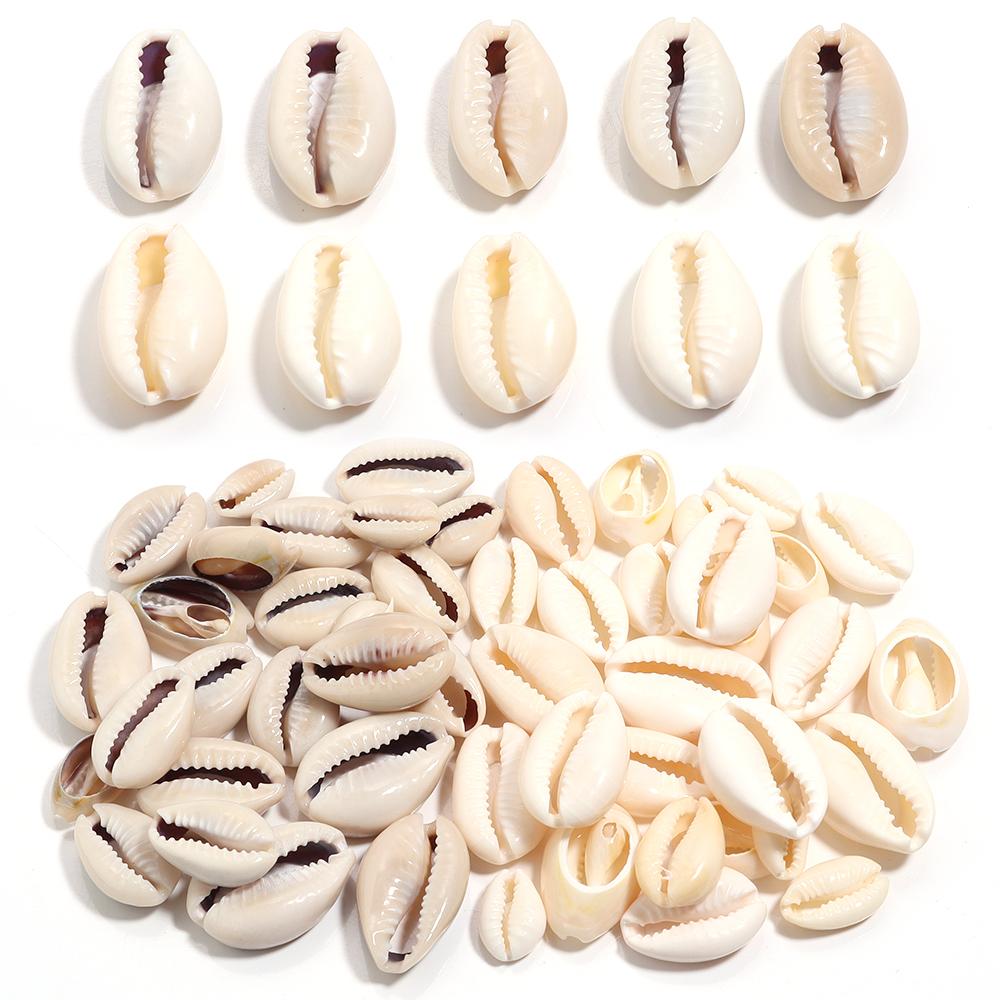 Perles Coquillage Naturel Ovale Spirale - Fournitures Bijoux DIY