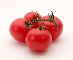 Tomates fraîches