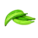Banane Plantain Vert