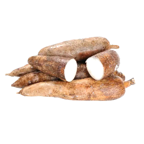 Manioc frais