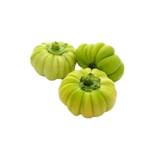 aubergine Vert africain Afasin