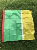 Drapeau du Cameroun 90x150 cm – Bannière Nationale en Polyester Résistant – Image 2