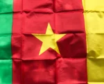 Drapeau du Cameroun